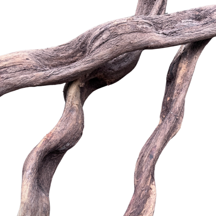 9af578f9fdd9a9fad58ec03565135ee5.png