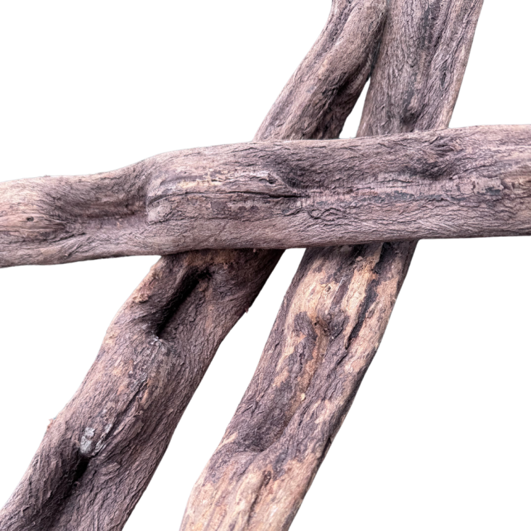 17c840f34c1d95739312085fc359c310.png