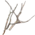 e9a994a016d12b5f366afe5d999b1bf0.png