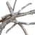 6da1e50e85529ba14de8b30c9db3dbb1.png
