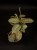 IMG_6207-min-scaled.jpg