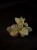 IMG_6213-min-scaled.jpg