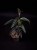 IMG_6236-min-scaled.jpg