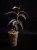 IMG_6244-min-scaled.jpg