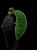 IMG_6357-min-scaled.jpg