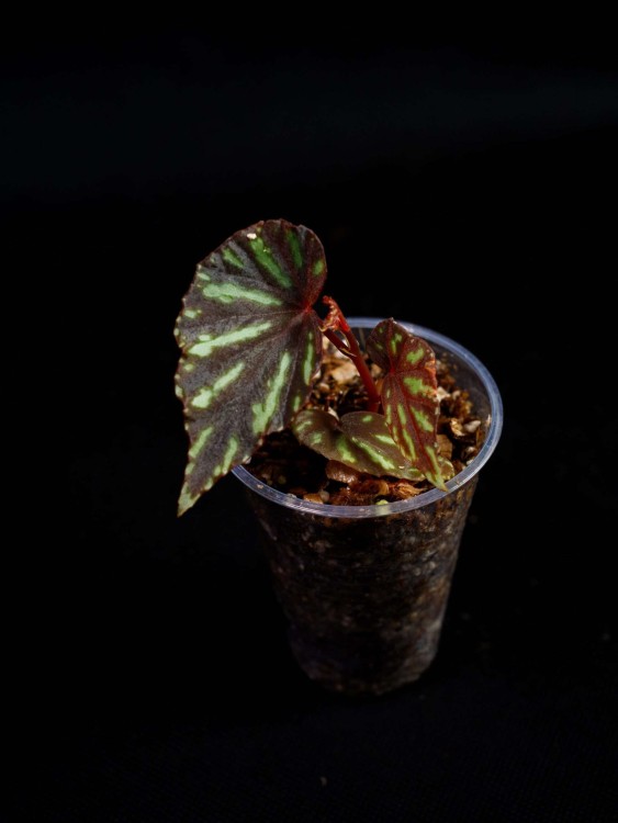 IMG_6345-min-scaled.jpg