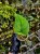 IMG_4692-min-scaled.jpg