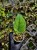 IMG_4693-min-scaled.jpg