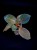 IMG_6107-min-scaled.jpg