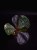 IMG_6143-min-scaled.jpg