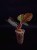IMG_6145-min-scaled.jpg