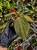 IMG_4691-min-scaled.jpg