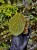 IMG_4690-min-scaled.jpg