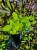 IMG_4625-min-scaled.jpg