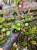 IMG_3879-min-scaled.jpg