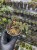 IMG_2857-min-scaled.jpg