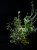 IMG_6824-scaled.jpg