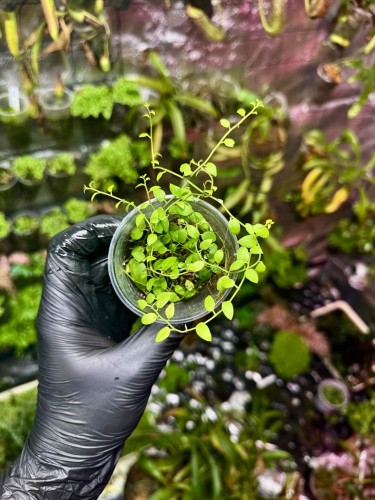 IMG_2092-min-scaled.jpg