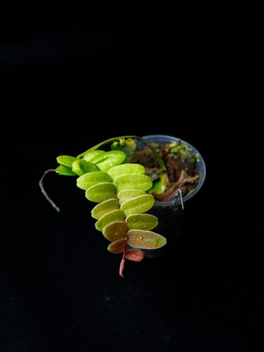 IMG_7344-scaled.jpg