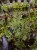 IMG_4038-min-scaled.jpg