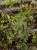 IMG_4037-min-scaled.jpg