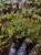 IMG_4035-min-scaled.jpg