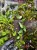 IMG_2256-min-scaled.jpg