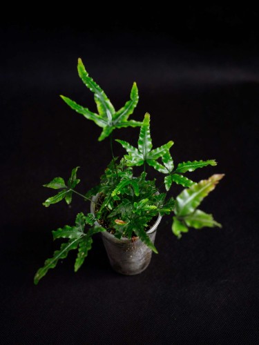 IMG_6312-min-scaled.jpg