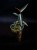 IMG_6166-min-scaled.jpg