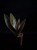 IMG_6230-min-scaled.jpg