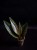 IMG_6217-min-scaled.jpg
