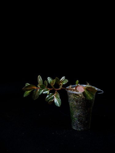 IMG_7311-scaled.jpg