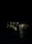 IMG_7311-scaled.jpg