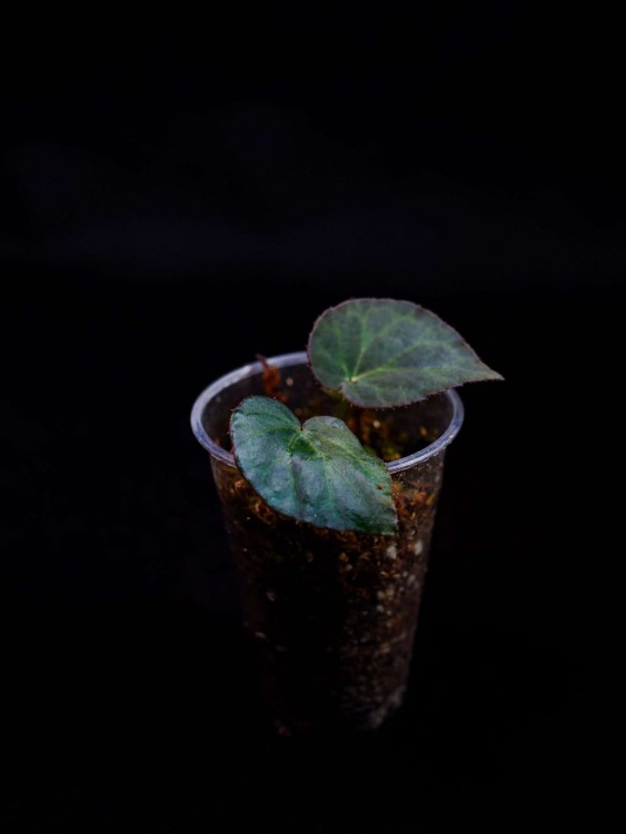 IMG_6319-min-scaled.jpg