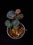 IMG_6338-min-scaled.jpg