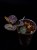 IMG_6343-min-scaled.jpg