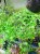 IMG_4252-min-scaled.jpg