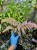 IMG_2527-scaled.jpg