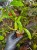 IMG_2508-min-scaled.jpg