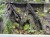IMG_2786-min-scaled.jpg