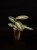 IMG_6256-min-scaled.jpg