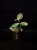 IMG_6252-min-scaled.jpg