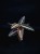 IMG_6112-min-scaled.jpg