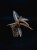 IMG_6113-min-scaled.jpg