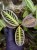 IMG_7573-min-scaled.jpg