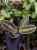 IMG_7574-min-scaled.jpg