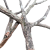 fad9220f167736dafd8d4fe022ca27bb.png