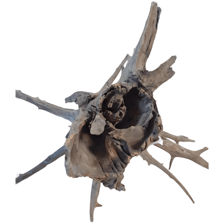 a9e73676dd544750668e8450f9a8f3cb.png