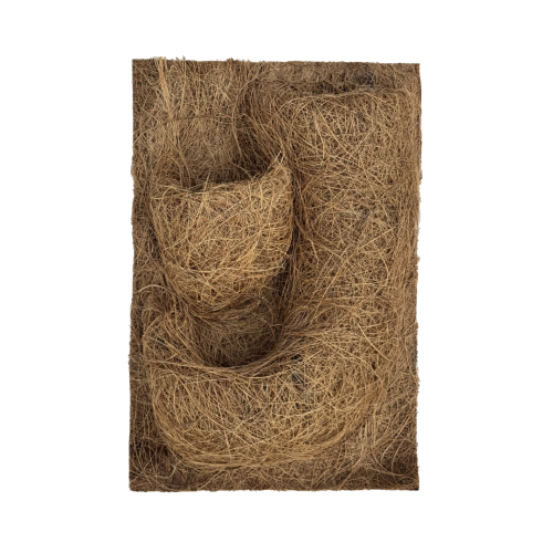 e40000d35363b14c32fee942f267880a.png
