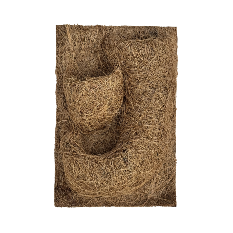 e40000d35363b14c32fee942f267880a.png